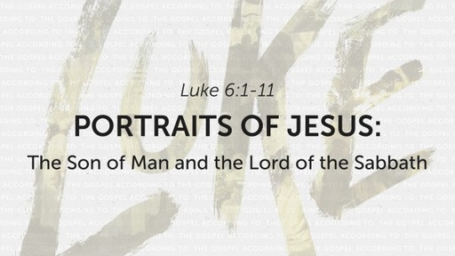 Portraits of Jesus: The Son of Man and the Lord of the Sabbath