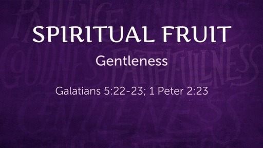 Spiritual Fruit - Gentleness Their rights not yours