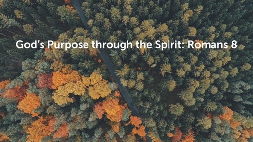 God's Purpose through the Spirit: Romans 8