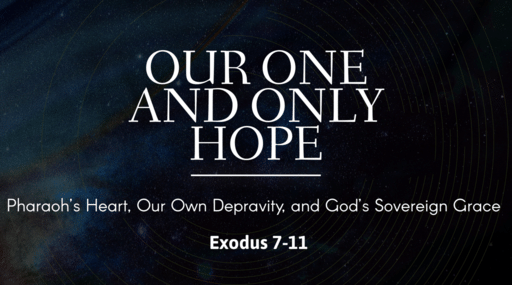 Our One and Only Hope: Pharaoh’s Heart, Our Common Depravity, and God’s Sovereign Grace 