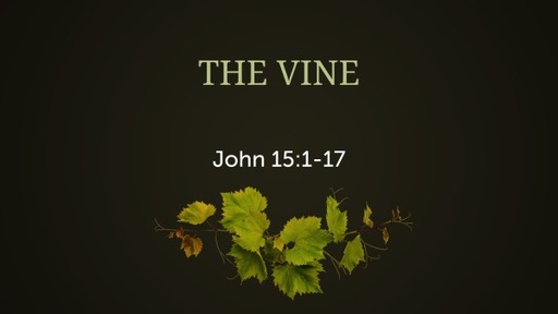 John: The Vine