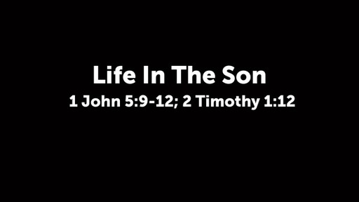 Life In The Son (2)