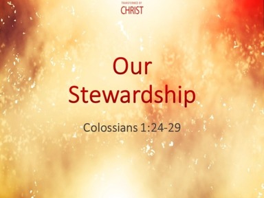Our Stewardship