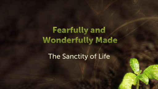 Fearfully and Wonderfully Made  (Worship Service April 23, 2023)