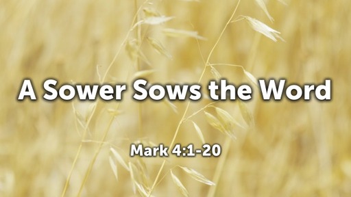 A Sower Sows the Word Mark 4:1-20
