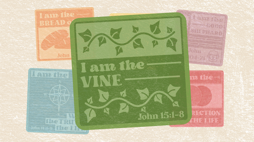 "I AM..." | The True Vine | John 1:1-11 | John Lee