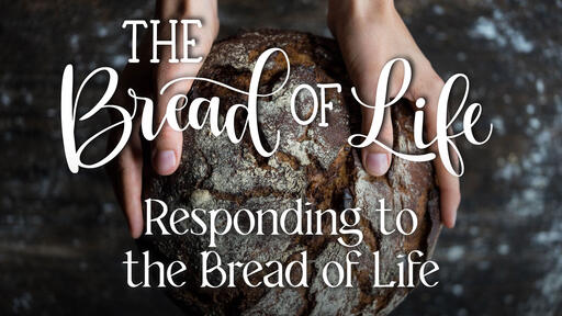 Responding to the Bread of Life