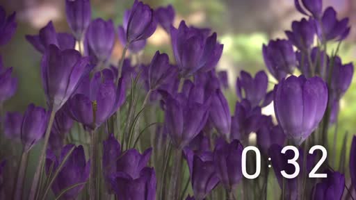 Live Stream Recording 2023-04-30T21:59:06.000Z