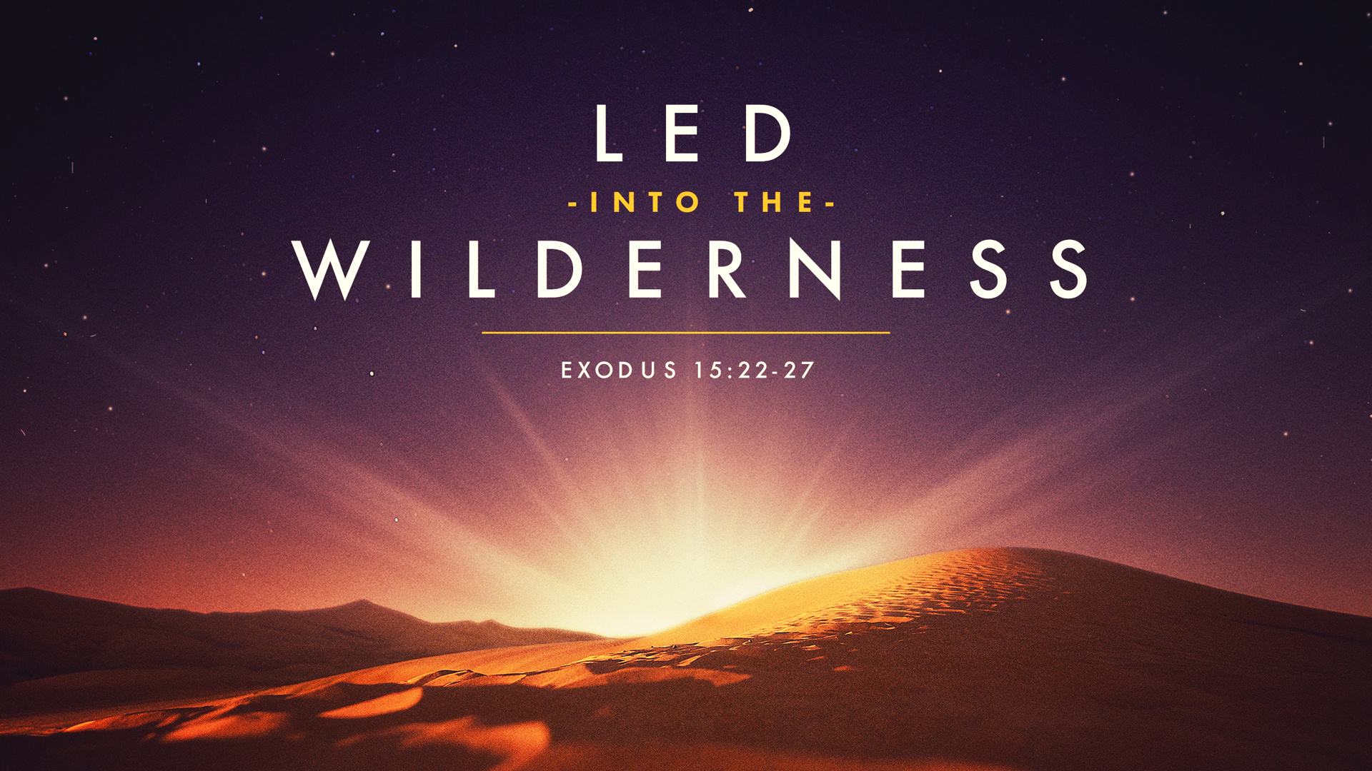 Led Into the Wilderness