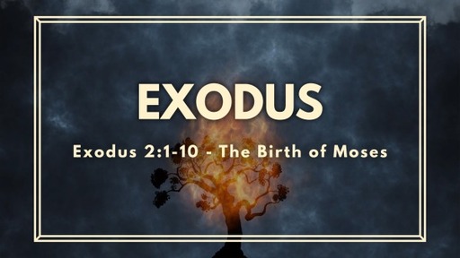 Exodus 2:1-10