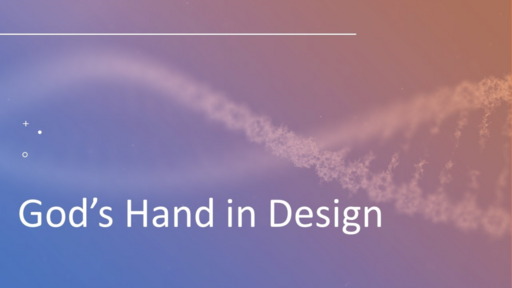 God's Hand in Design