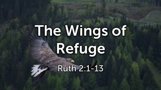 The Wings of Refuge