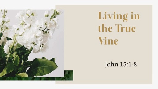 Living in the True Vine - Pastor Carl Leep