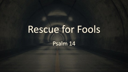 Rescue for Fools  Psalm 14 