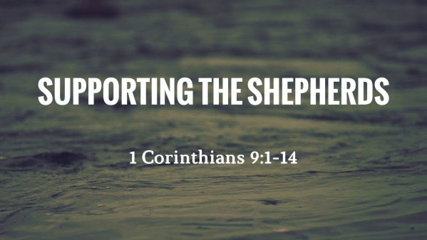 Supporting the Shepherds