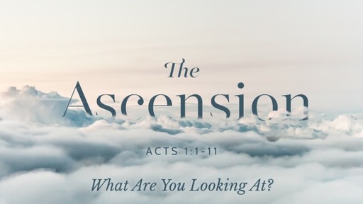 Ascension Day - What Are You Looking At?