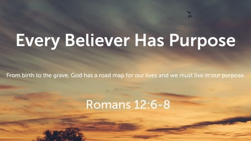 Every Believer Has Purpose