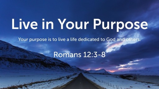 Live in Your Purpose