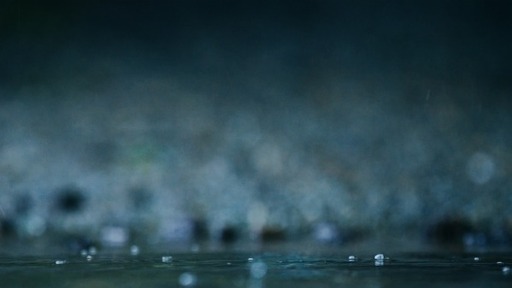 The Authority of Christ