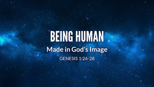 Genisis  1:26-28