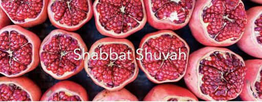 Shabbat Shuvah (2022)