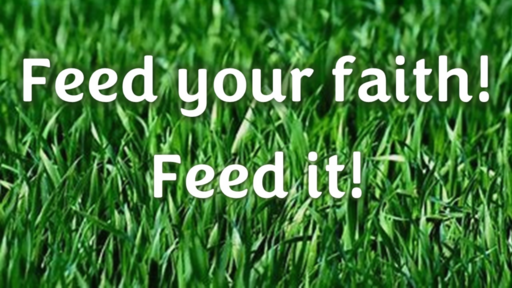 Feed Your Faith! Feed It!
