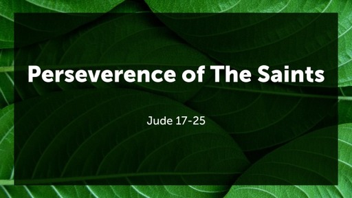 Perseverence of The Saints