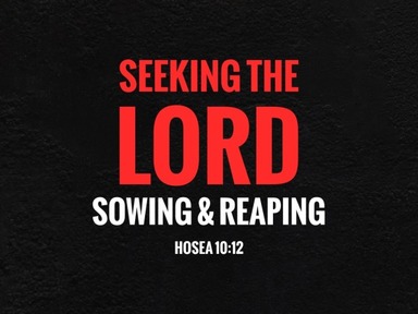 Seeking God: Sowing and Reaping - David Kanski