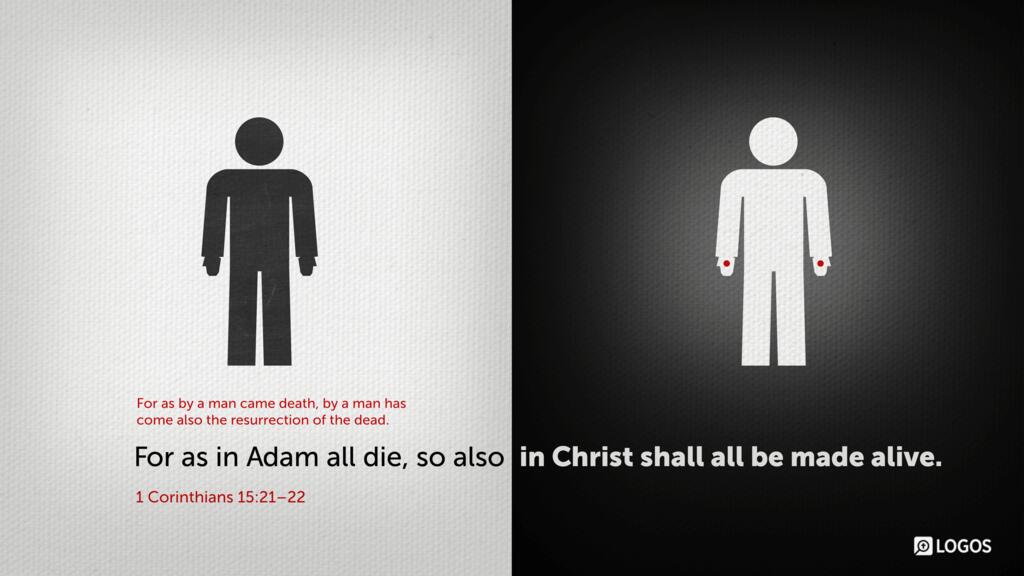 1 Corinthians 15:21–22: For as by a man came death, by a man has come also the resurrection of the dead. For as in Adam all die, so also in Christ shall all be made alive.