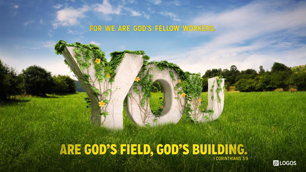 1 Corinthians 3:9: For we are God’s fellow workers. You are God’s field, God’s building.