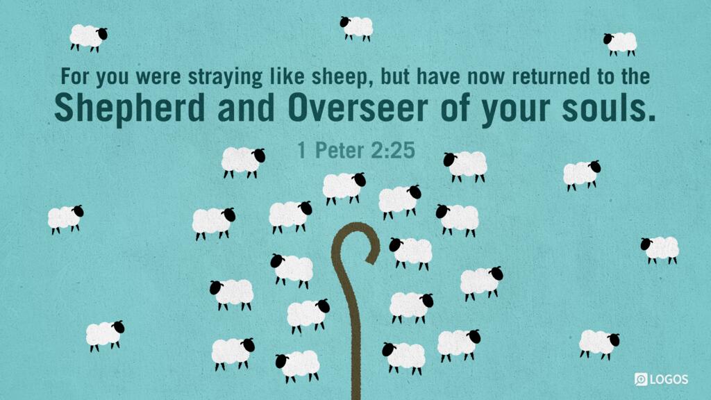 1 Peter 2:25: For you were straying like sheep, but have now returned to the Shepherd and Overseer of your souls.
