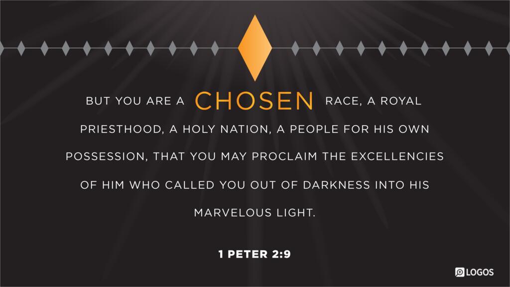 1 Peter 2:9: But you are a chosen race, a royal priesthood, a holy nation, a people for his own possession, that you may proclaim the excellencies of him who called you out of darkness into his marvelous light.