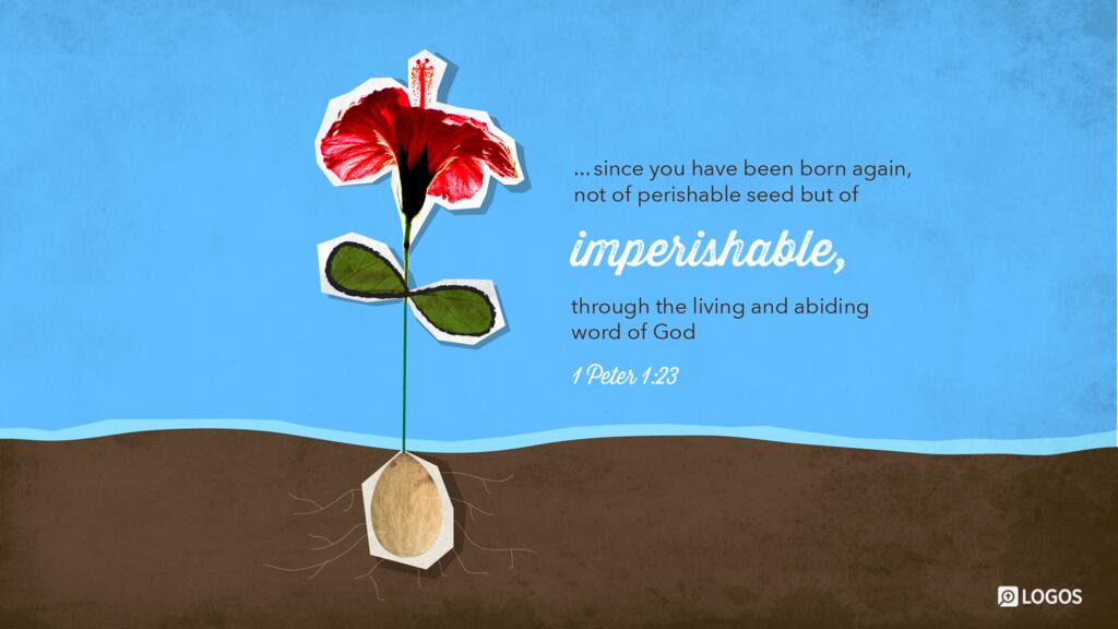 1 Peter 1:23: …since you have been born again, not of perishable seed but of imperishable, through the living and abiding word of God…