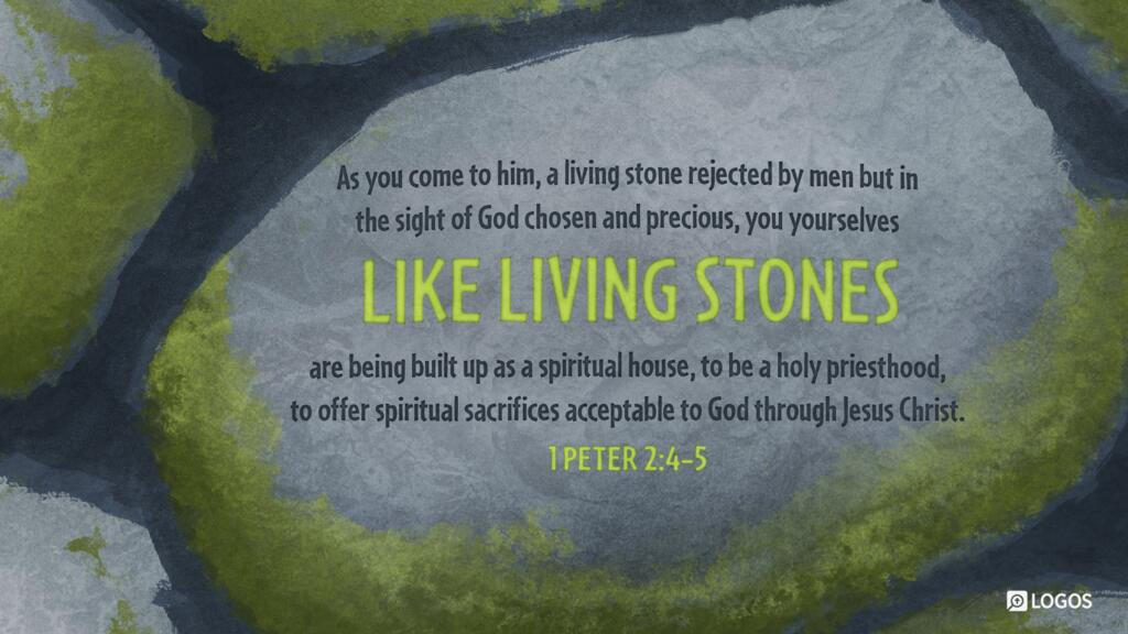 1 Peter 2:4–5: As you come to him, a living stone rejected by men but in the sight of God chosen and precious, you yourselves like living stones are being built up as a spiritual house, to be a holy priesthood, to offer spiritual sacrifices acceptable to God…