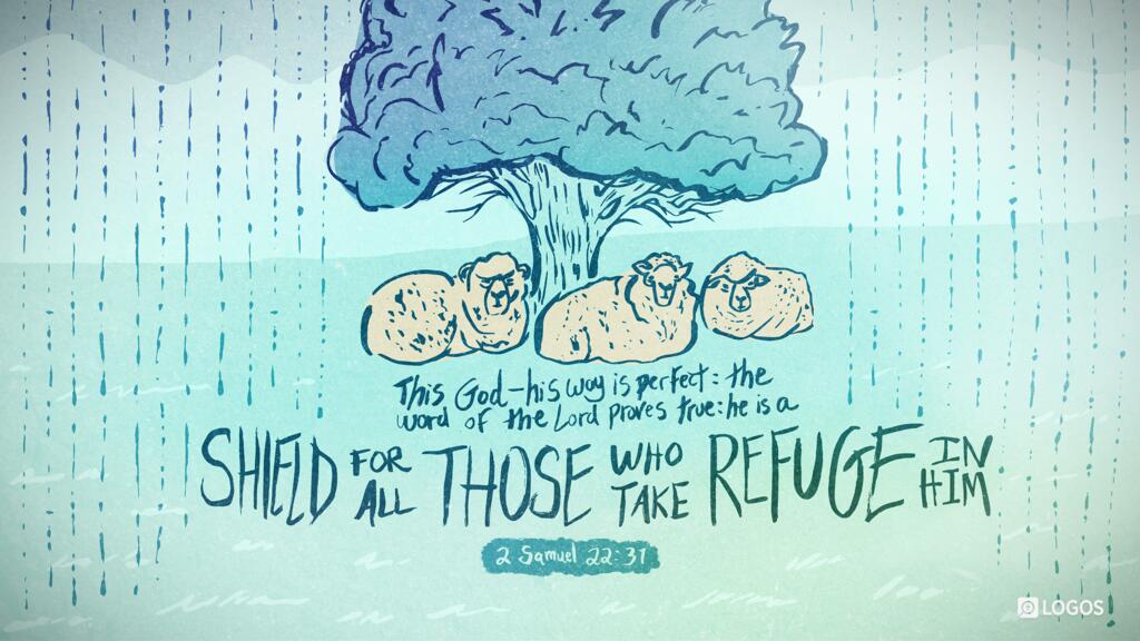 2 Samuel 22:31: This God—his way is perfect; the word of the Lord proves true; he is a shield for all those who take refuge in him.
