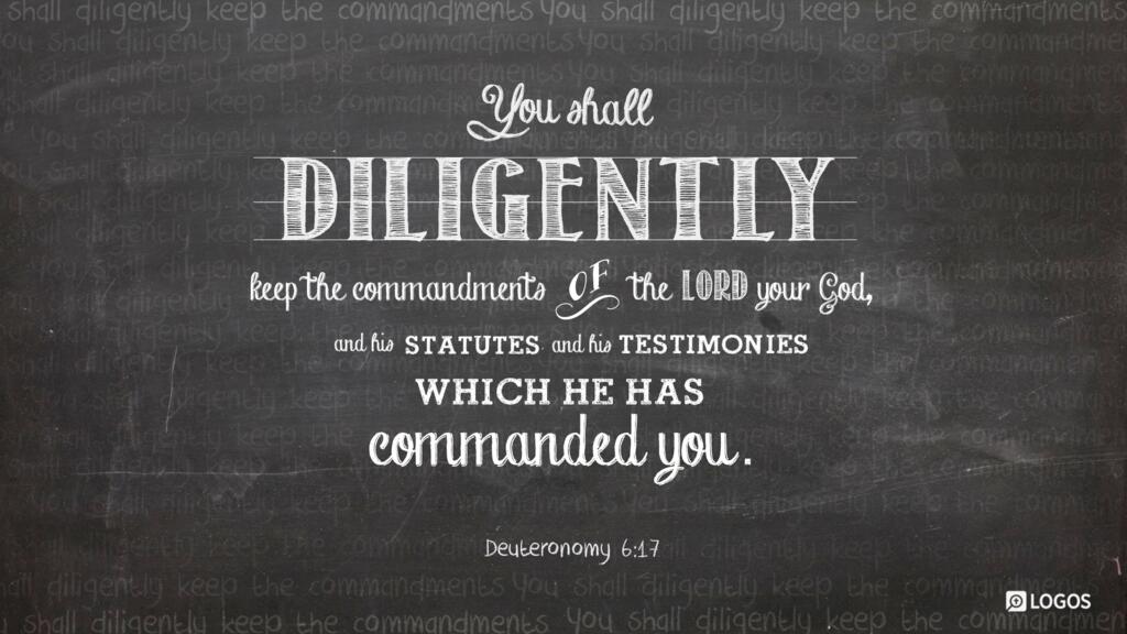 Deuteronomy 6:17: You shall diligently keep the commandments of the LORD your God, and his testimonies and his statutes, which he has commanded you.