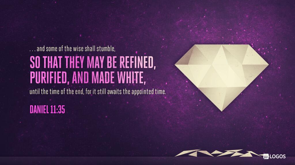 Daniel 11:35: and some of the wise shall stumble, so that they may be refined, purified, and made white, until the time of the end, for it still awaits the appointed time.