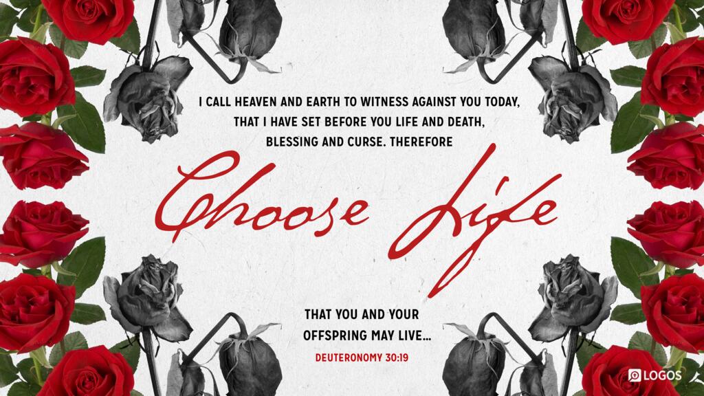 Deuteronomy 30:19: I call heaven and earth to witness against you today, that I have set before you life and death, blessing and curse. Therefore choose life, that you and your offspring may live…