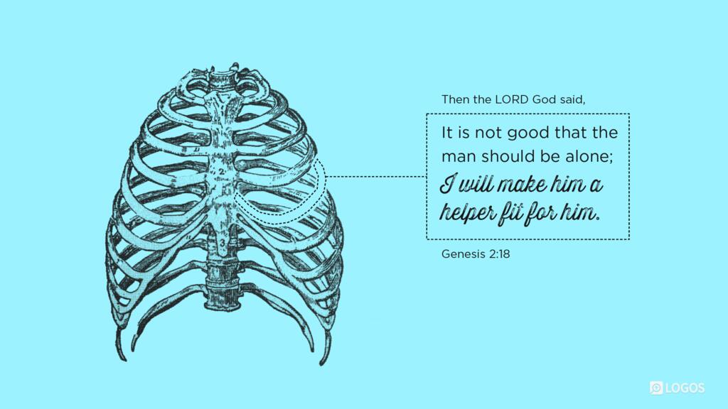 Genesis 2:18: Then the LORD God said, “It is not good that the man should be alone; I will make him a helper fit for him.”