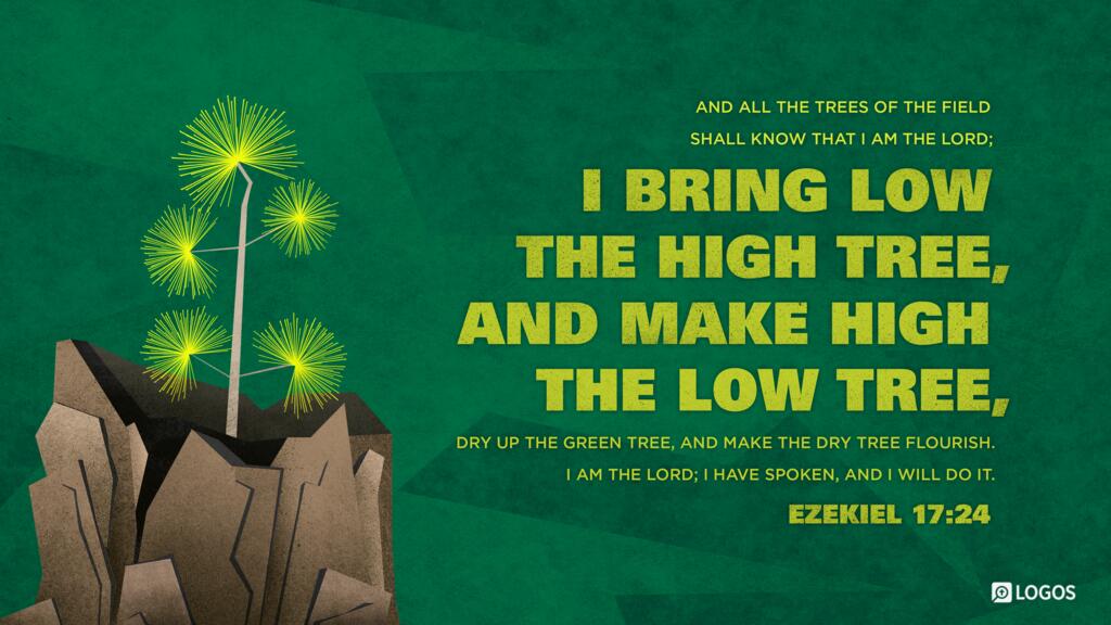 Ezekiel 17:24: “And all the trees of the field shall know that I am the LORD; I bring low the high tree, and make high the low tree, dry up the green tree, and make the dry tree flourish. I am the LORD; I have spoken, and I will do it.”