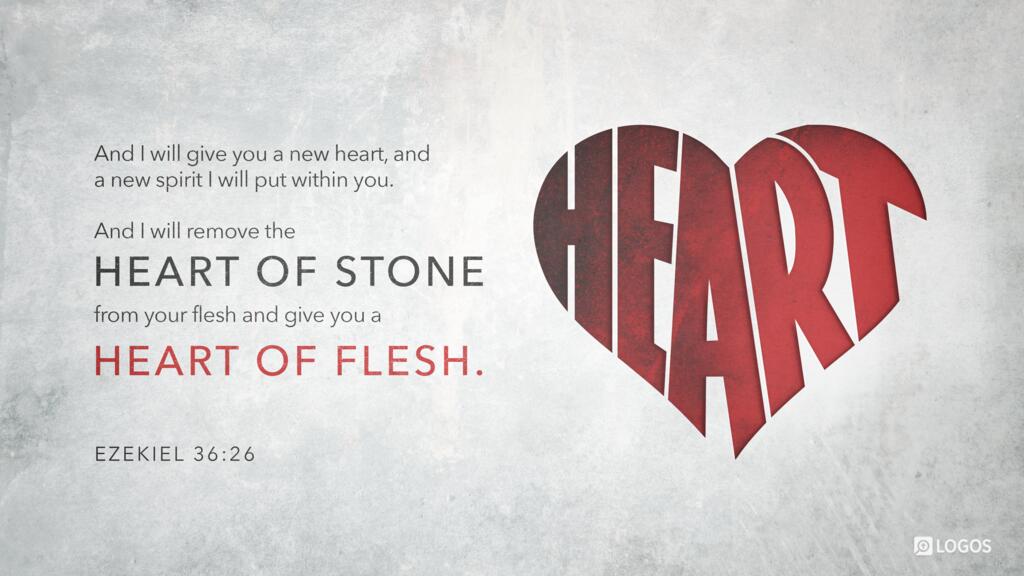 Ezekiel 36:26: And I will give you a new heart, and a new spirit I will put within you. And I will remove the heart of stone from your flesh and give you a heart of flesh.