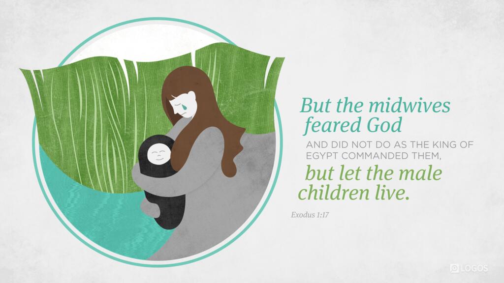 Exodus 1:17: But the midwives feared God and did not do as the king of Egypt commanded them, but let the male children live.