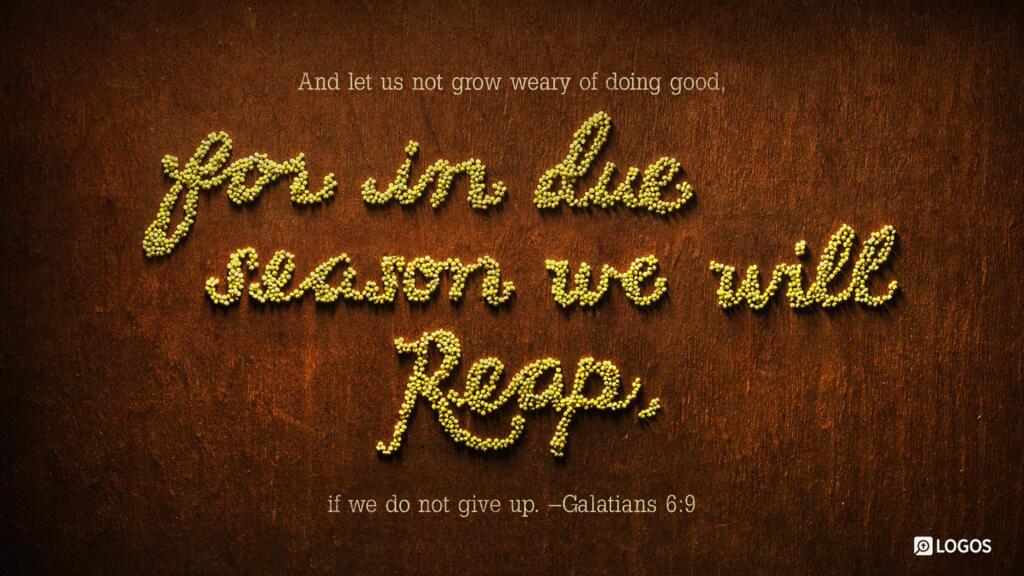 Galatians 6:9: And let us not grow weary of doing good, for in due season we will reap, if we do not give up.
