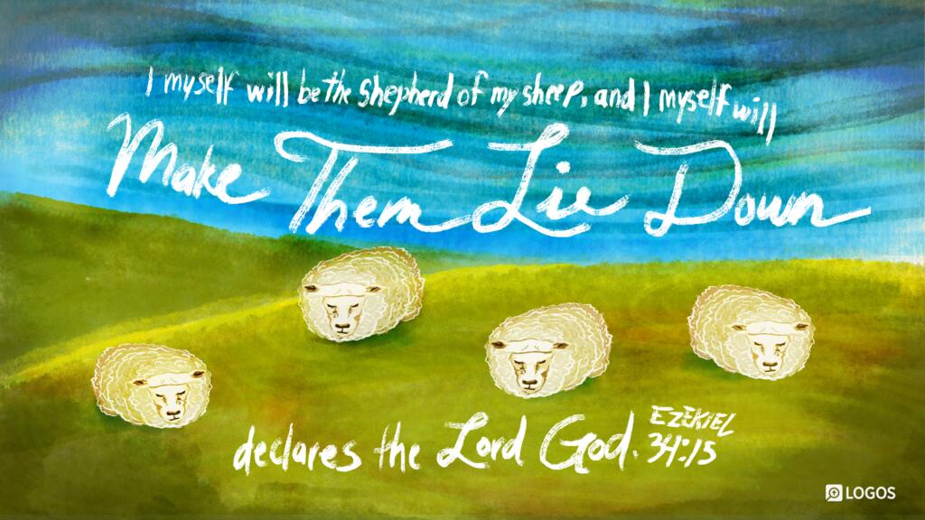 Ezekiel 34:15: I myself will be the shepherd of my sheep, and I myself will make them lie down, declares the Lord God.