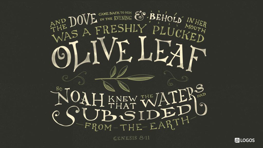 Genesis 8:11: And the dove came back to him in the evening, and behold, in her mouth was a freshly plucked olive leaf. So Noah knew that the waters had subsided from the earth.
