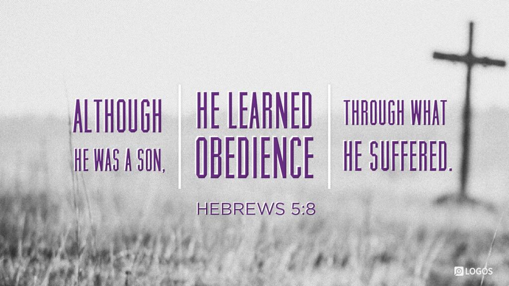 Hebrews 5:8: Although he was a son, he learned obedience through what he suffered.