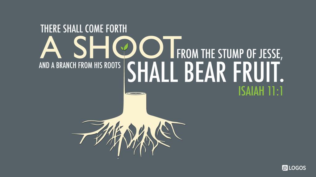Isaiah 11:1: There shall come forth a shoot from the stump of Jesse, and a branch from his roots shall bear fruit.