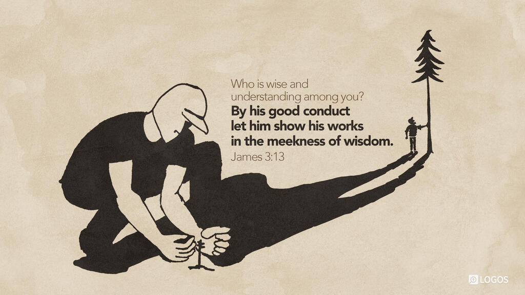 James 3:13: Who is wise and understanding among you? By his good conduct let him show his works in the meekness of wisdom.