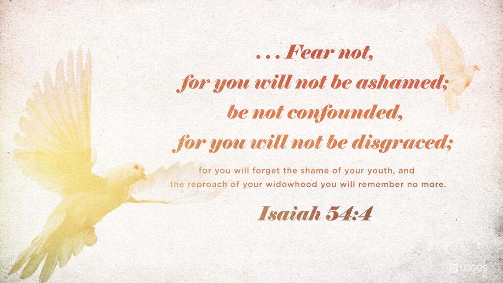 Isaiah 54:4: ...Fear not, for you will not be ashamed; be not confounded, for you will not be disgraced; for you will forget the shame of your youth, and the reproach of your widowhood you will remember no more.