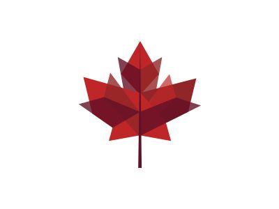 Maple leaf illustration